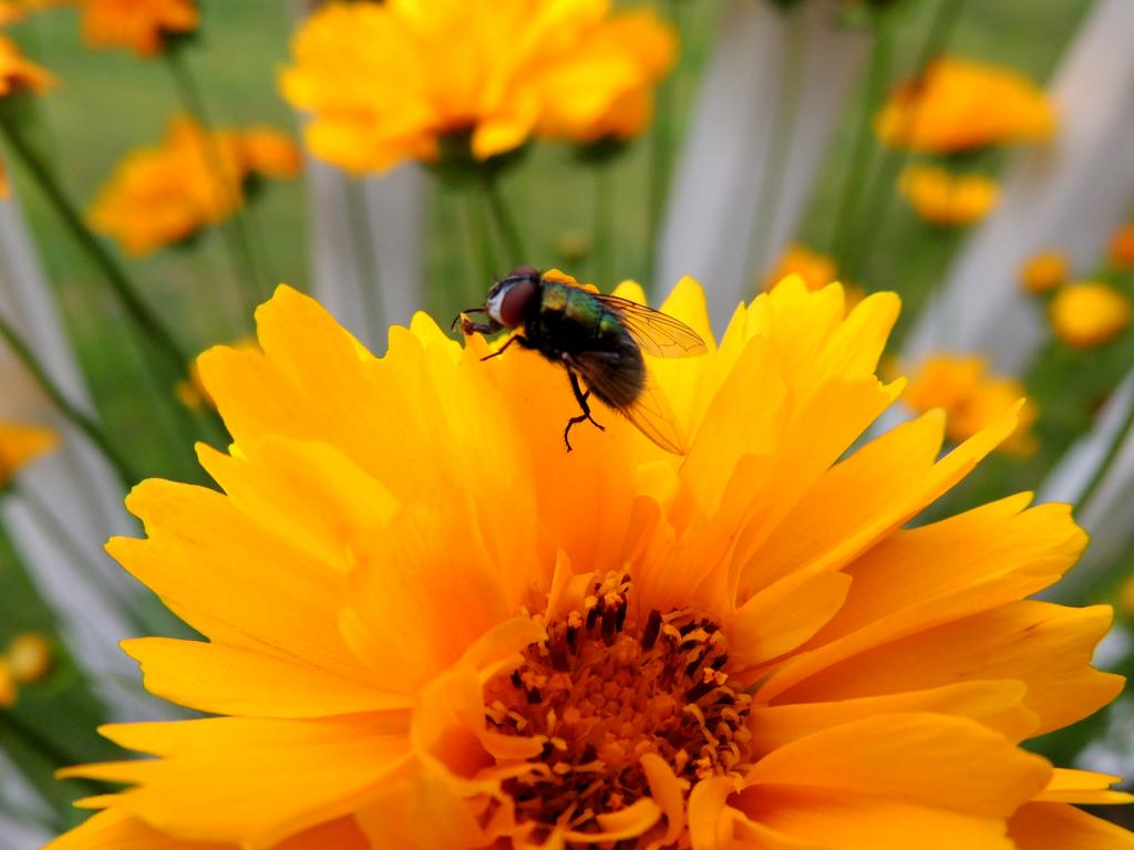 DSCN9318.jpg