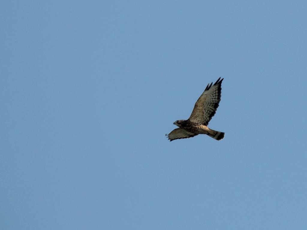 DSCN9318.jpg