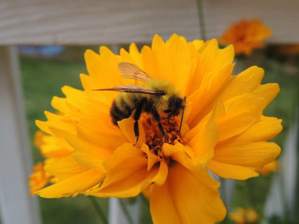 DSCN9319.jpg