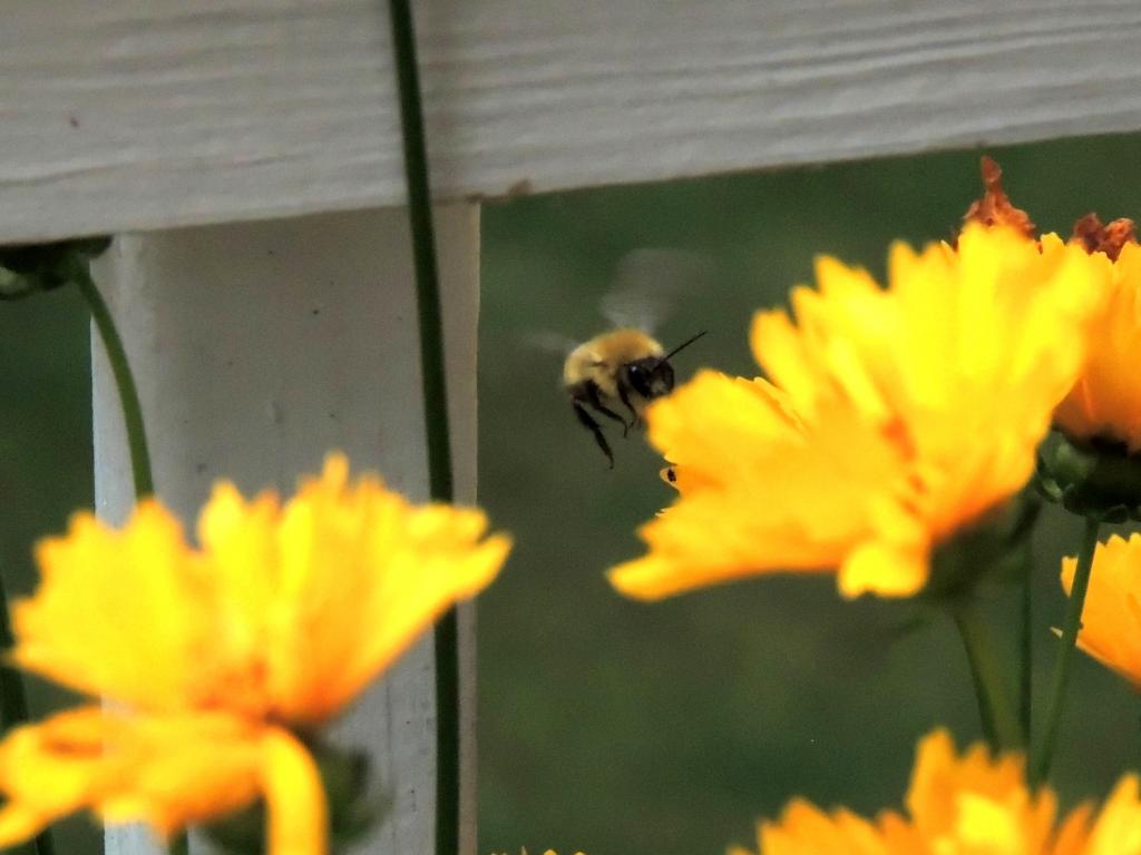 DSCN9322.jpg