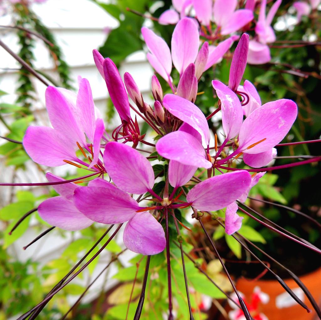 DSCN9329.jpg