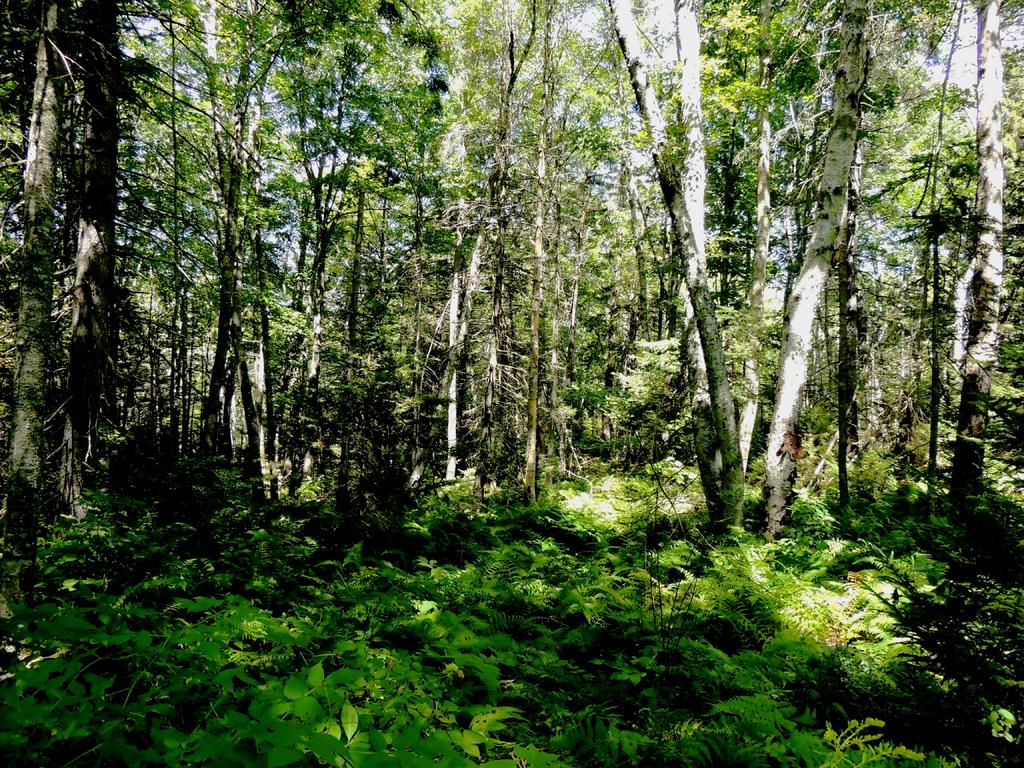 DSCN9330.jpg