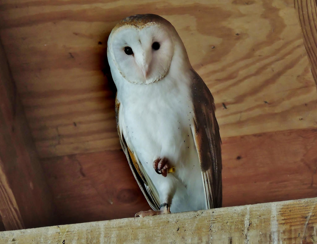 DSCN9335.jpg