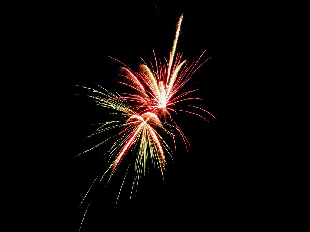 DSCN9339.jpg
