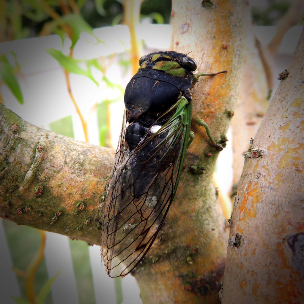 DSCN9340.jpg