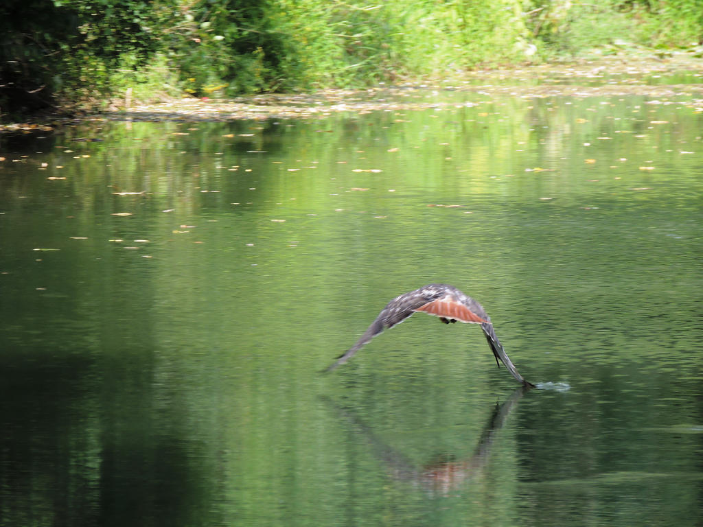 DSCN9345.jpg