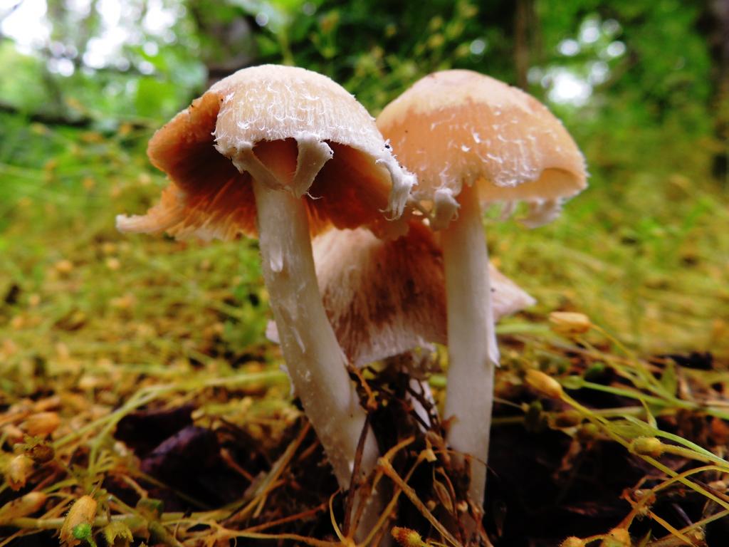 DSCN9347.jpg