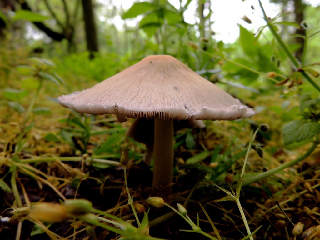 DSCN9348.jpg