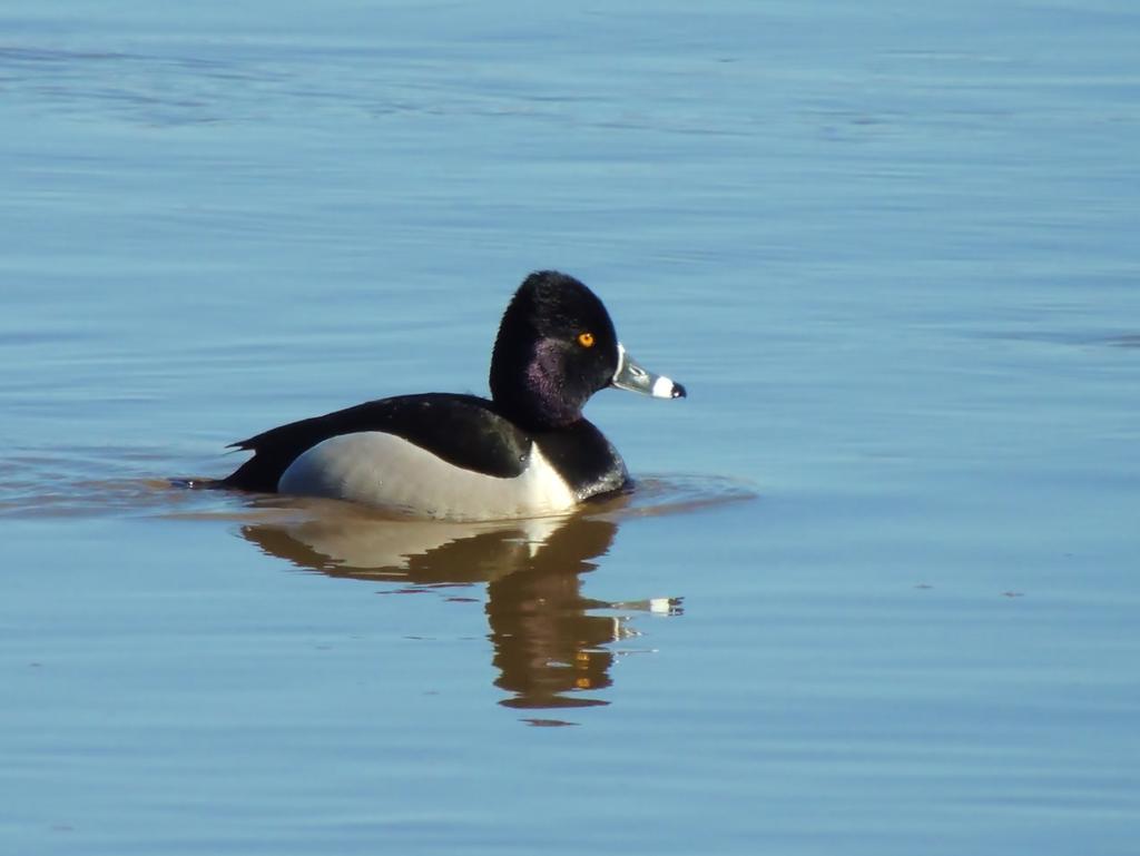 DSCN9349.jpg