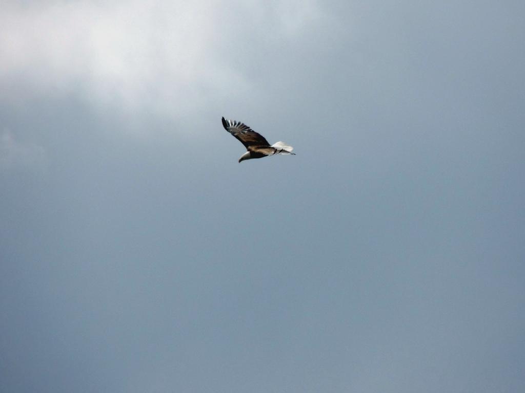DSCN9359.jpg