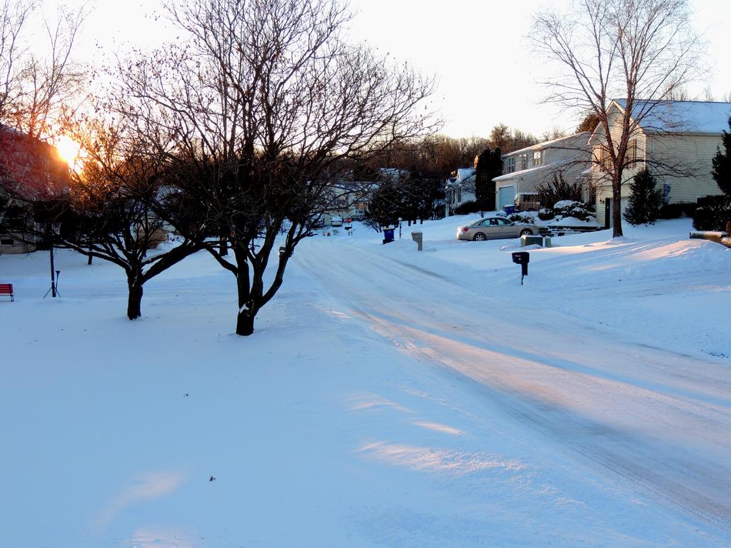 DSCN9360.jpg