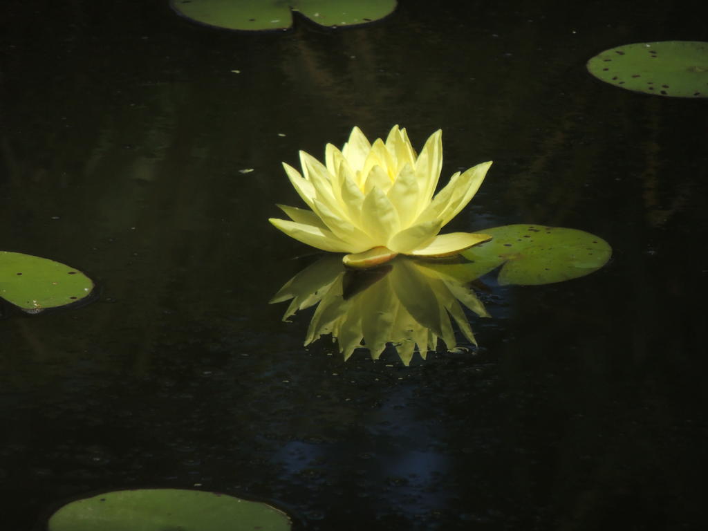 DSCN9370.jpg