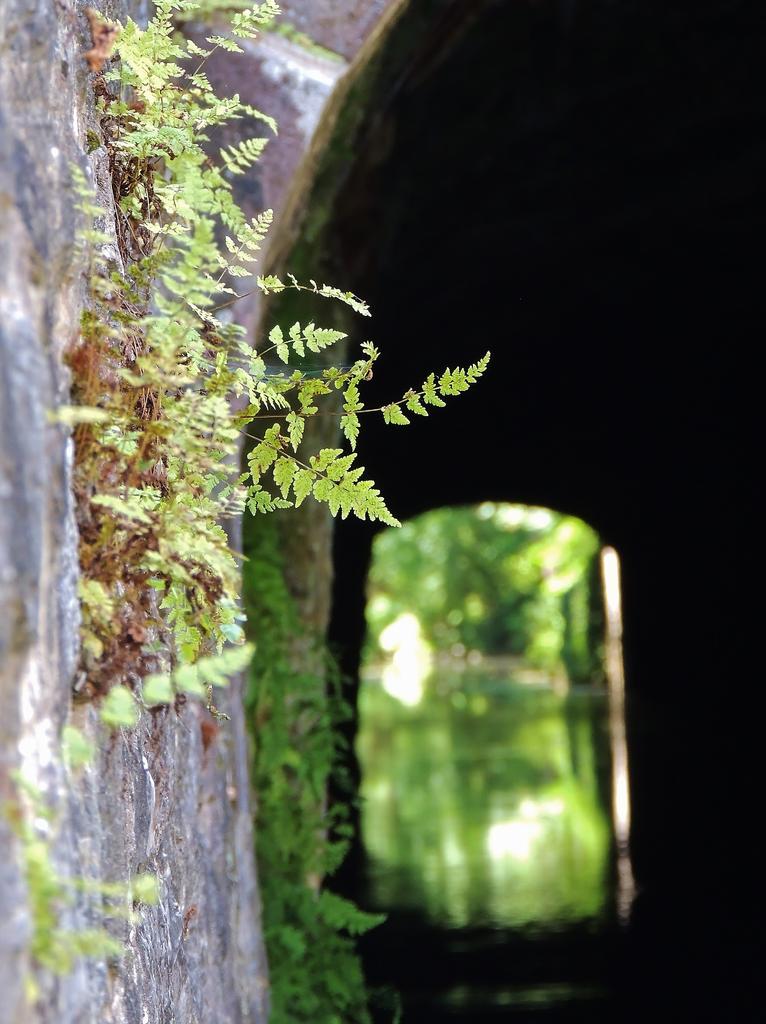 DSCN9373.jpg