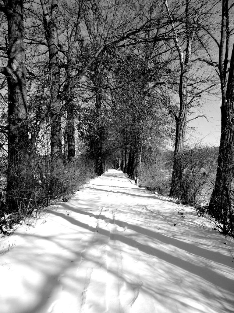 DSCN9373a.jpg