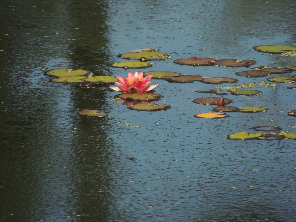DSCN9379.jpg