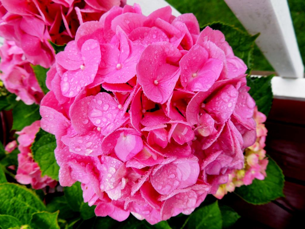 DSCN9380.jpg