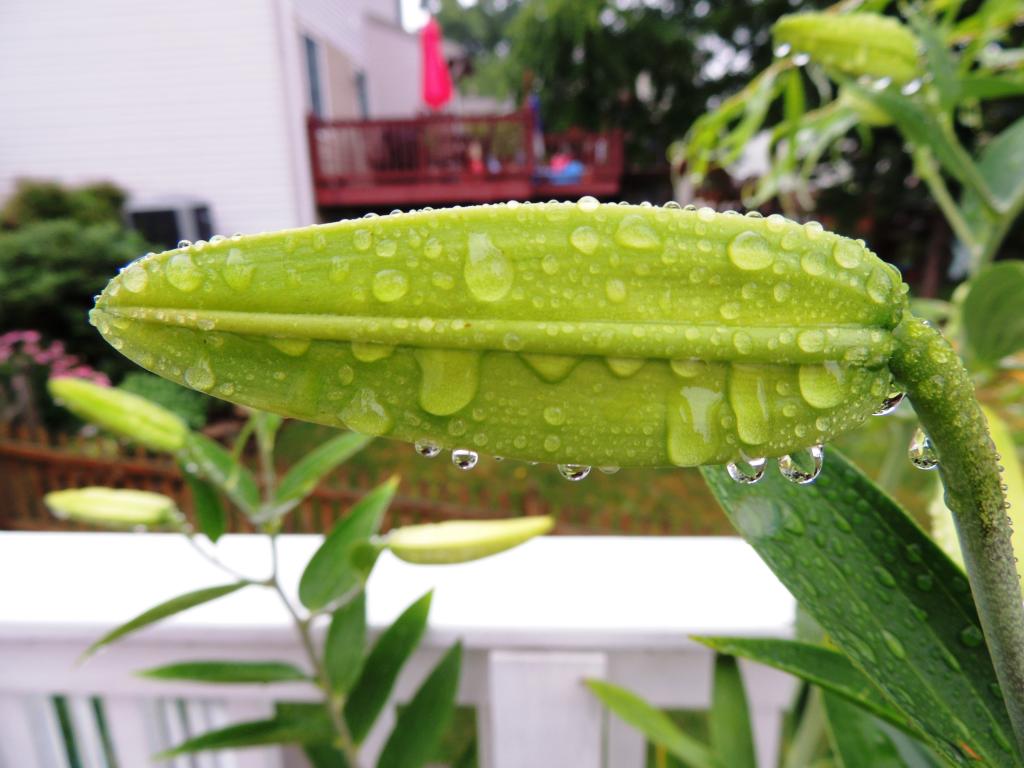 DSCN9384.jpg