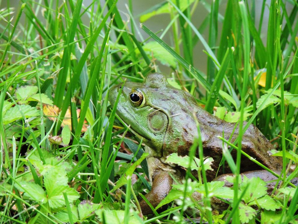 DSCN9385.jpg