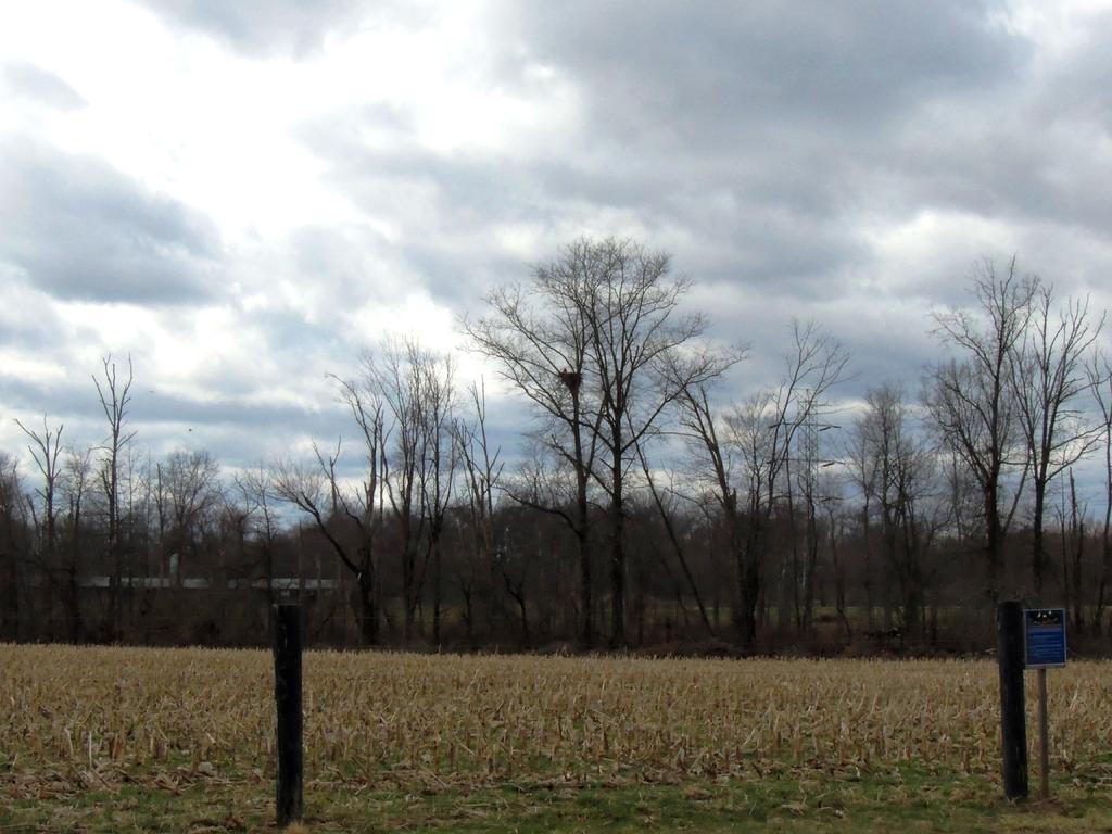 DSCN9385.jpg