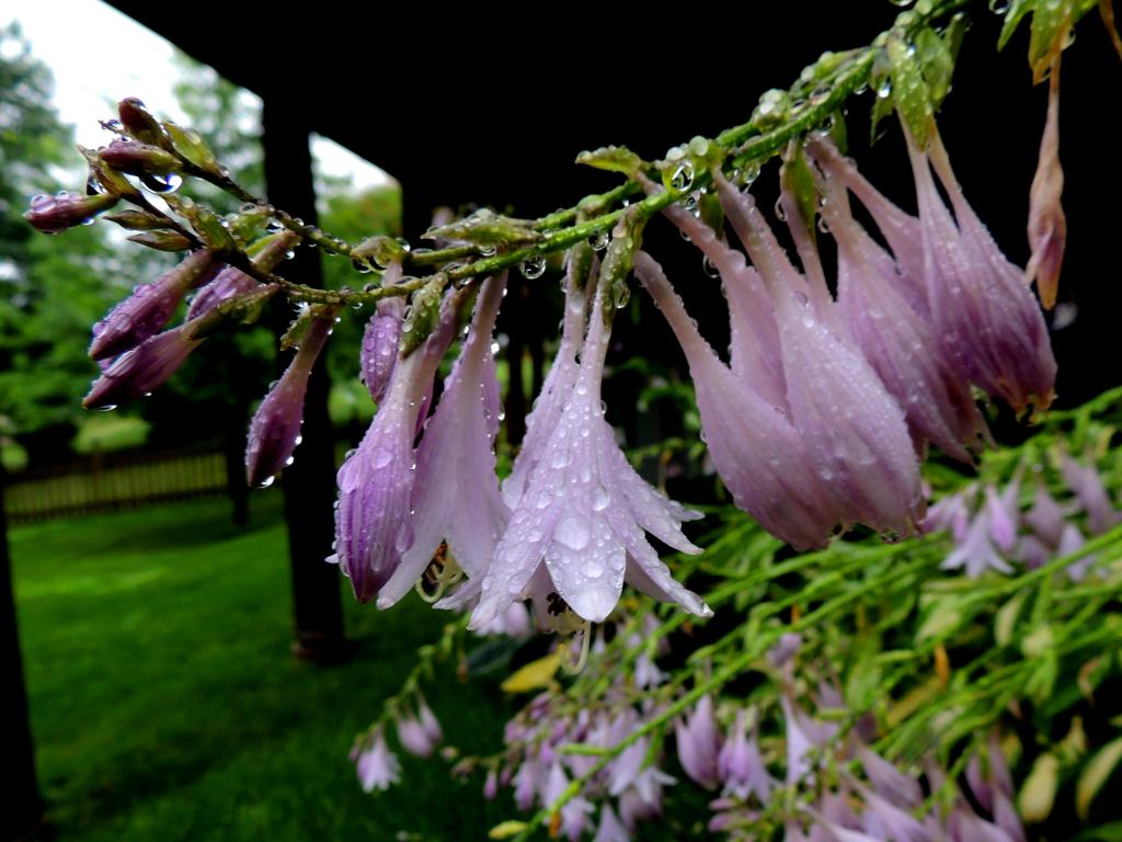 DSCN9386.jpg