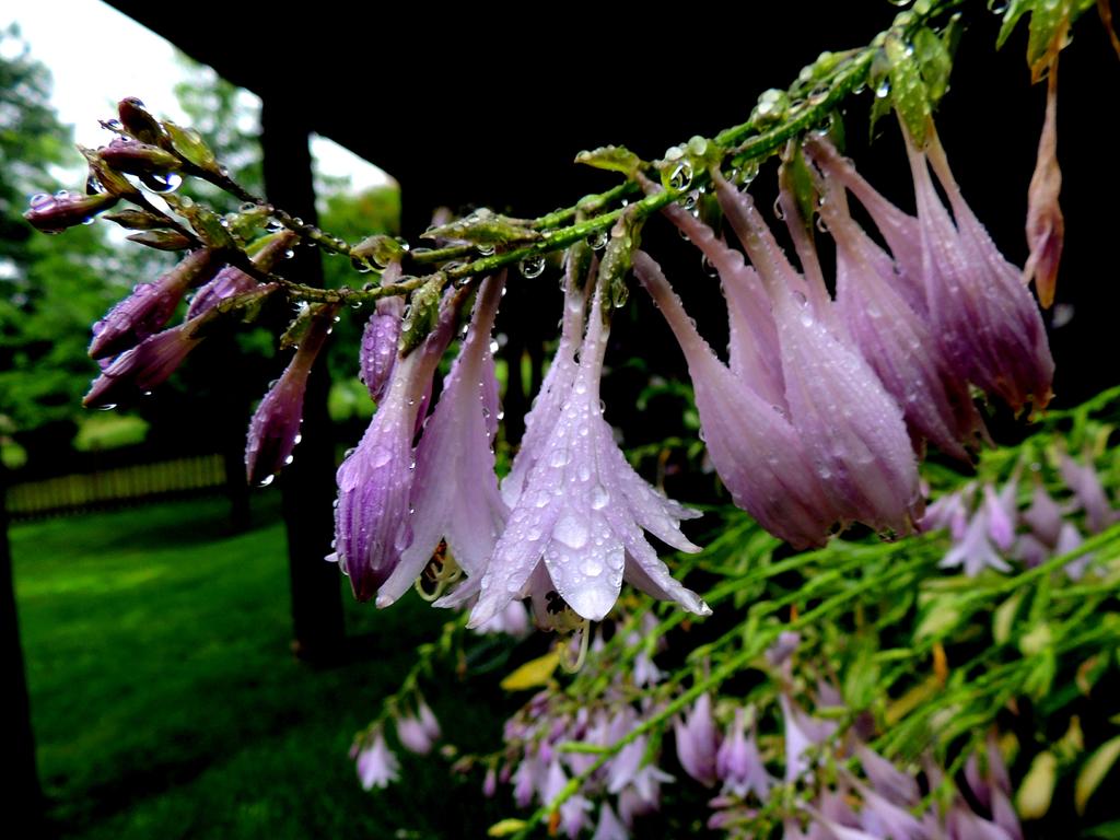 DSCN9386.jpg