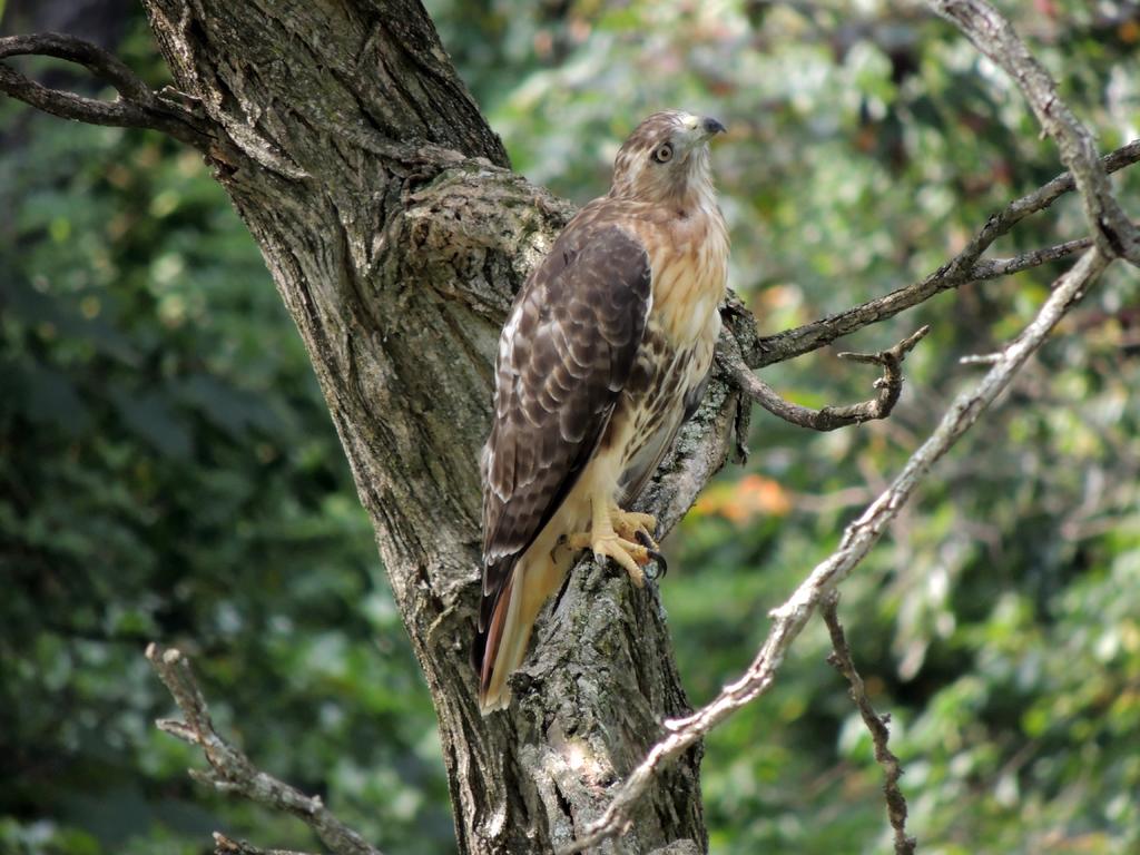 DSCN9390.jpg