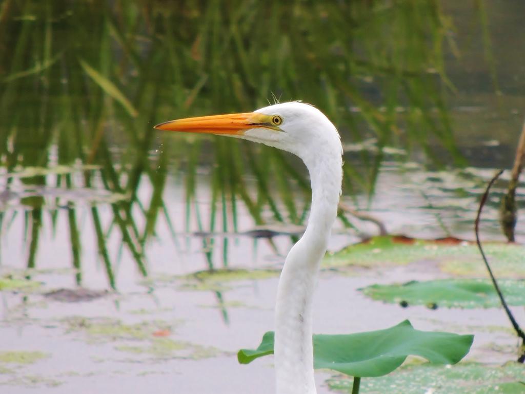 DSCN9399.jpg