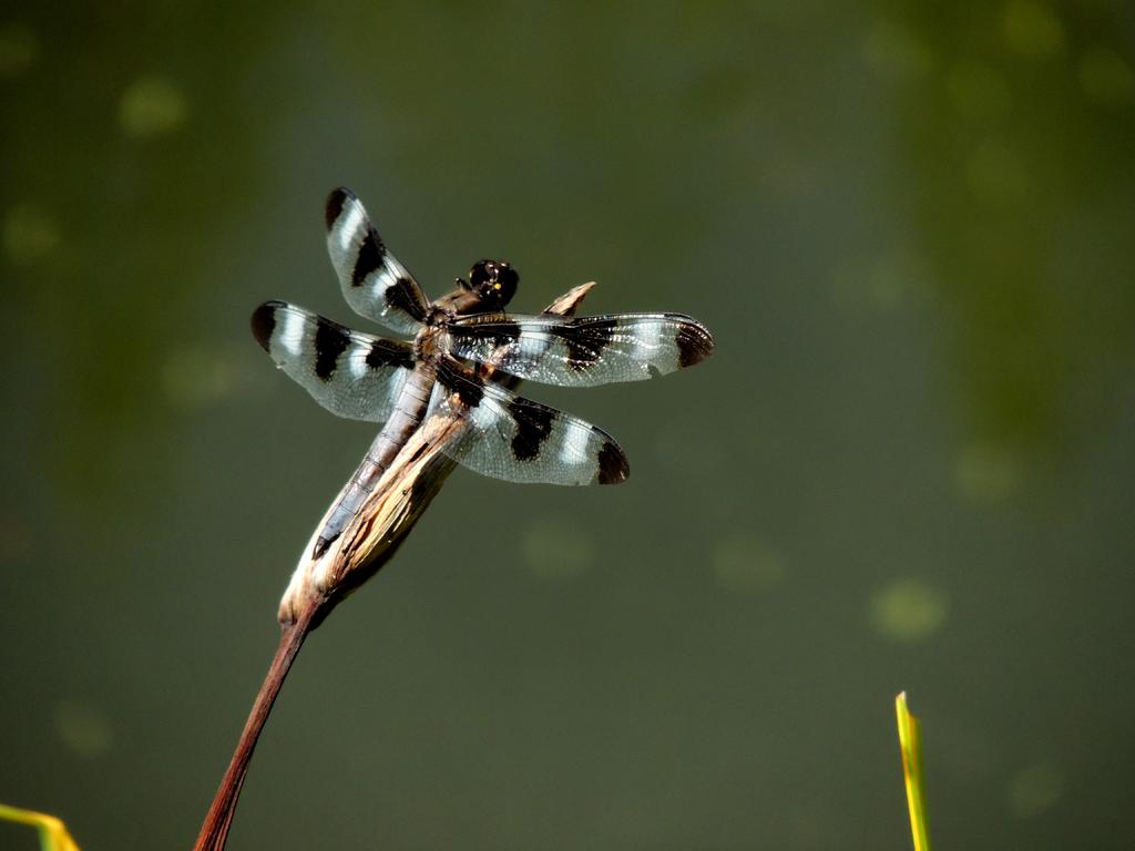 DSCN9405.jpg
