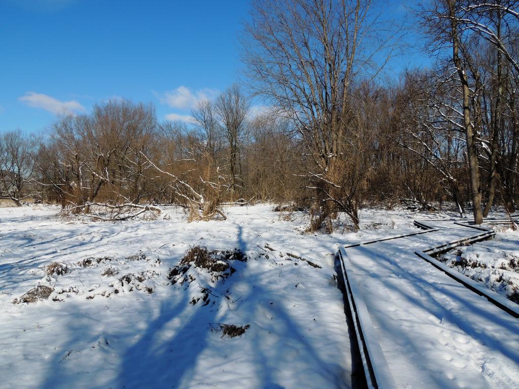 DSCN9408.jpg