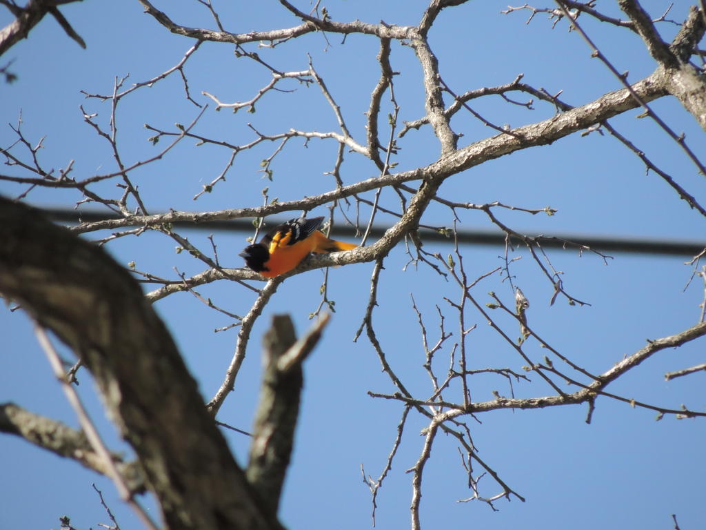 DSCN9408.jpg