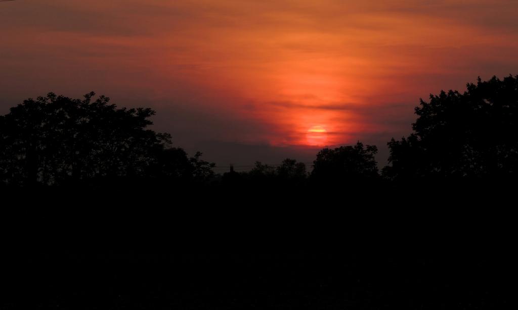 DSCN9437.jpg