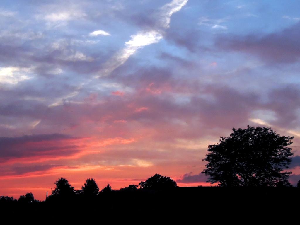 DSCN9437.jpg