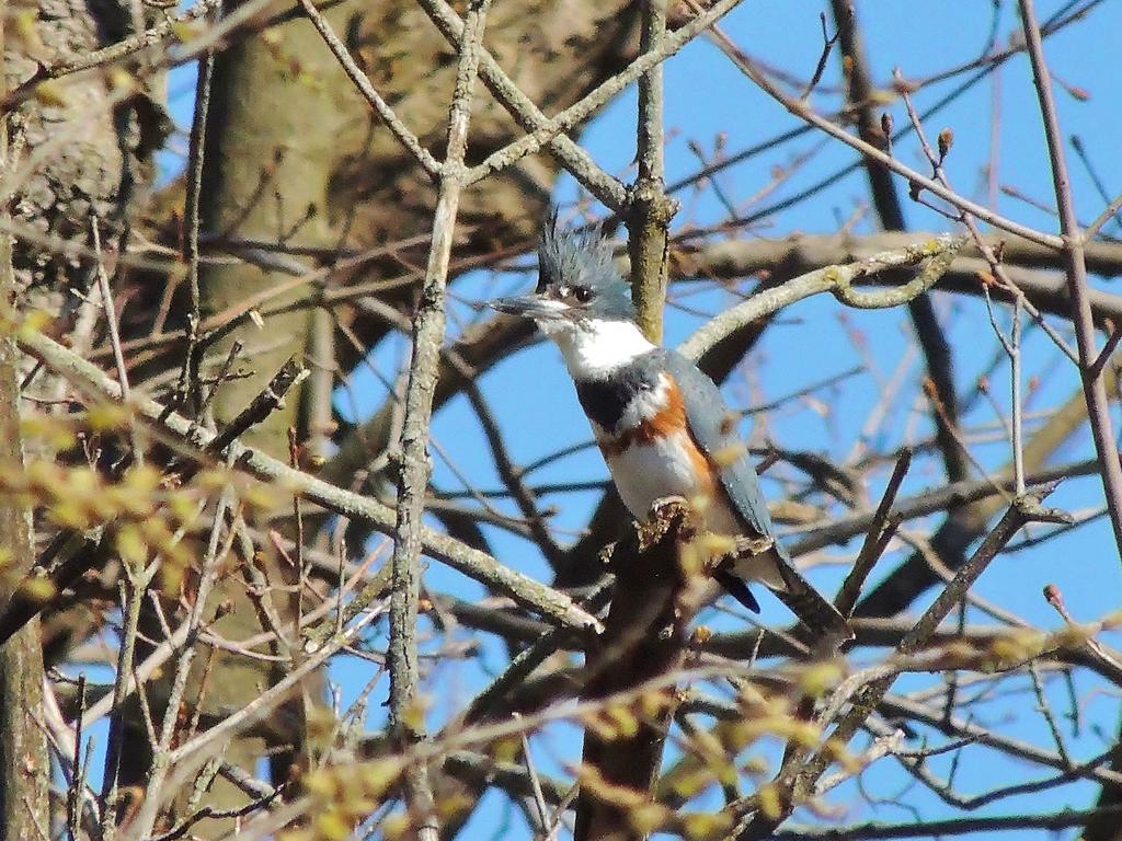 DSCN9446.jpg