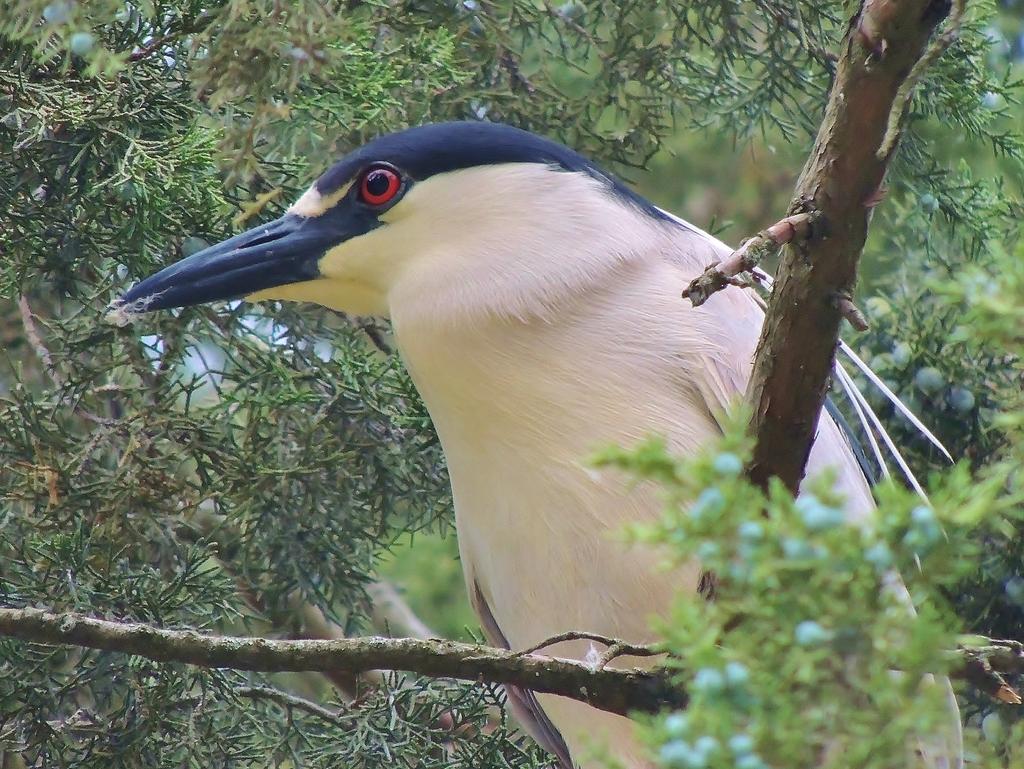 DSCN9446.jpg