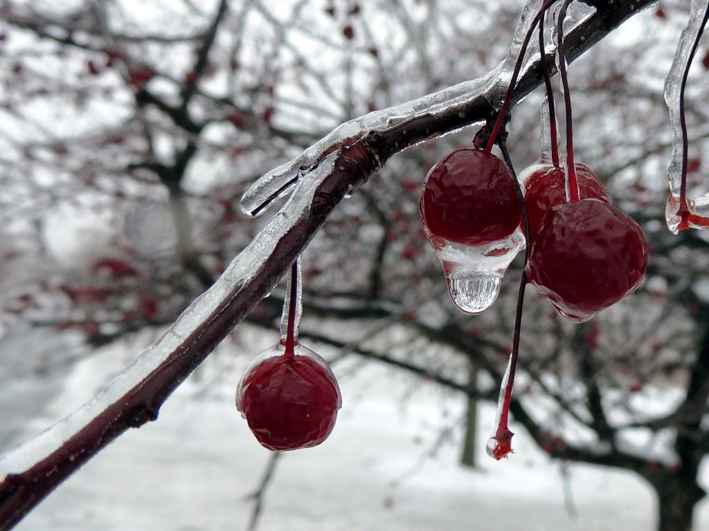 DSCN9447.jpg