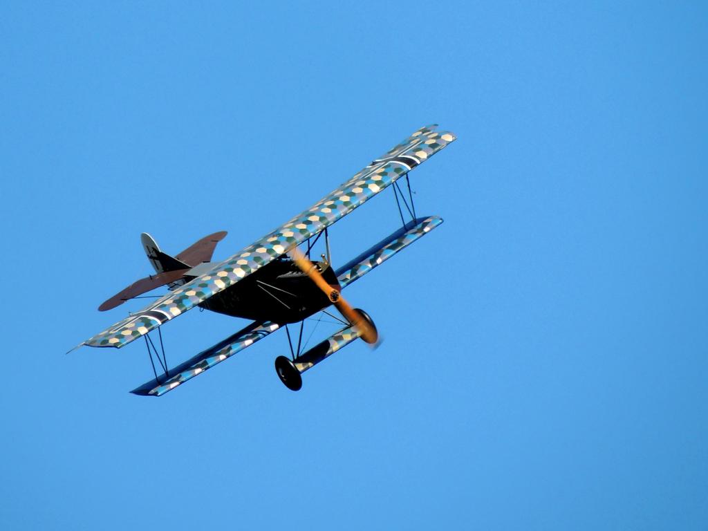 DSCN9451.jpg