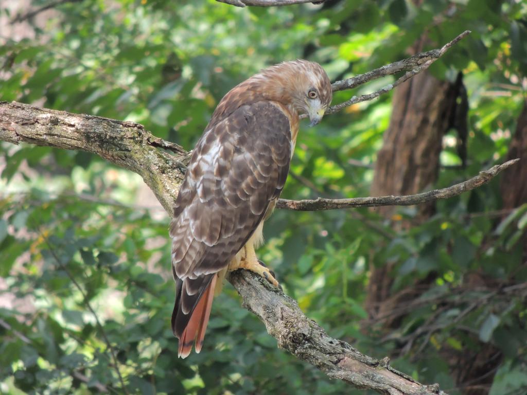 DSCN9455.jpg