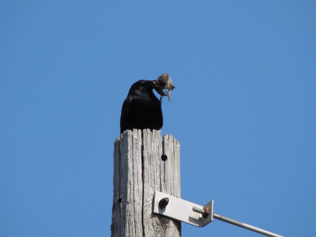 DSCN9459.jpg
