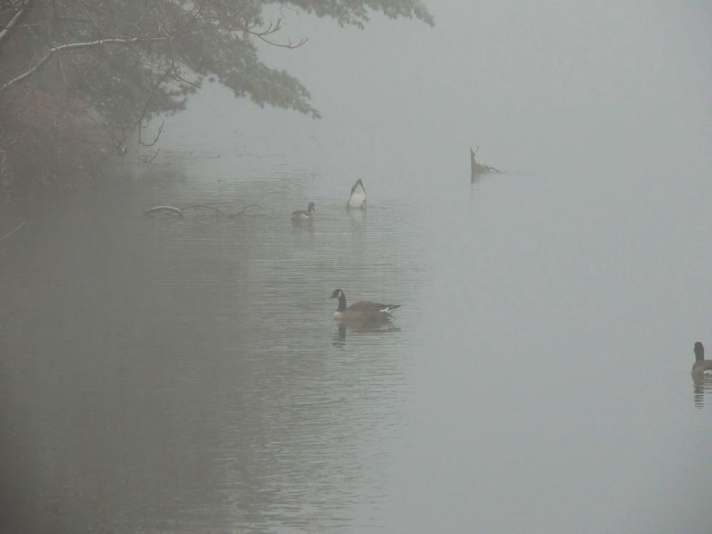 DSCN9469.jpg