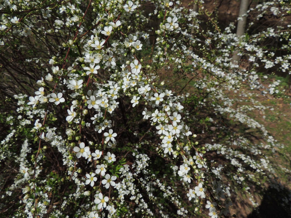 DSCN9472.jpg