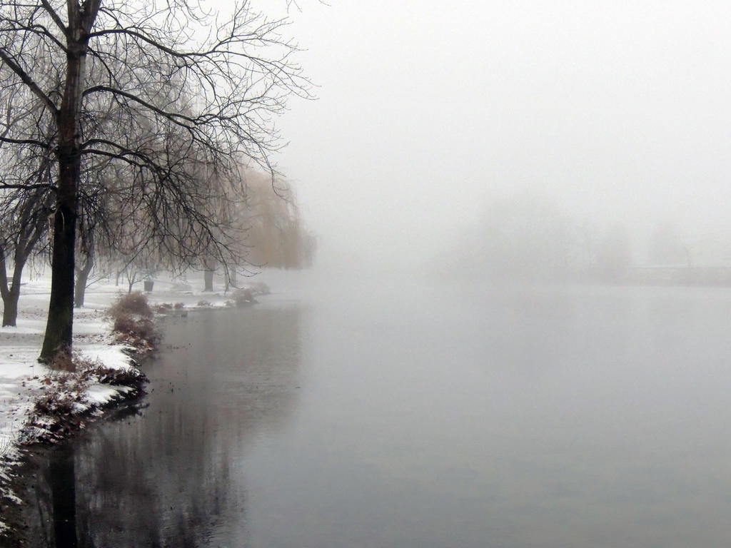 DSCN9477.jpg