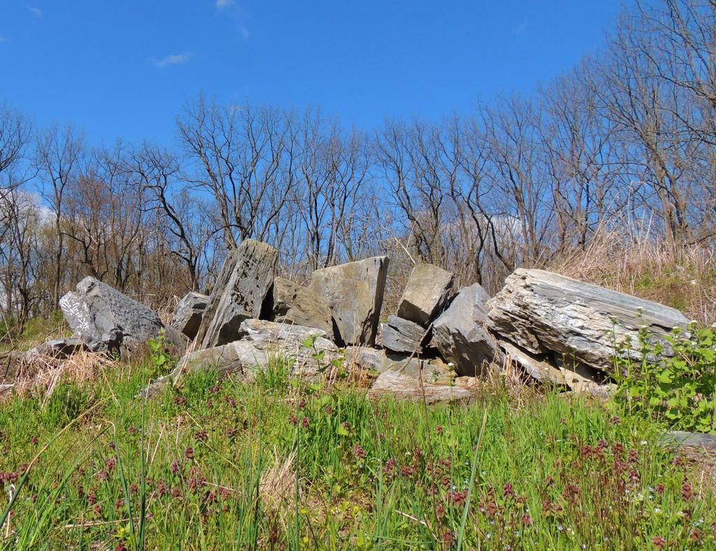 DSCN9480.jpg