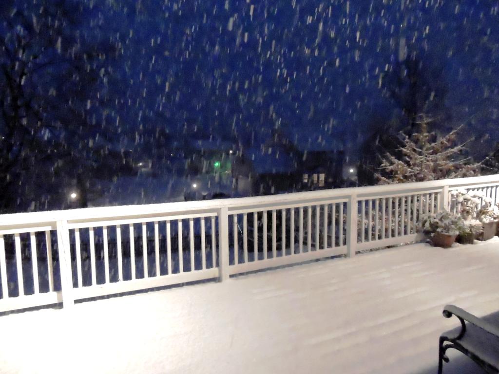 DSCN9502.jpg