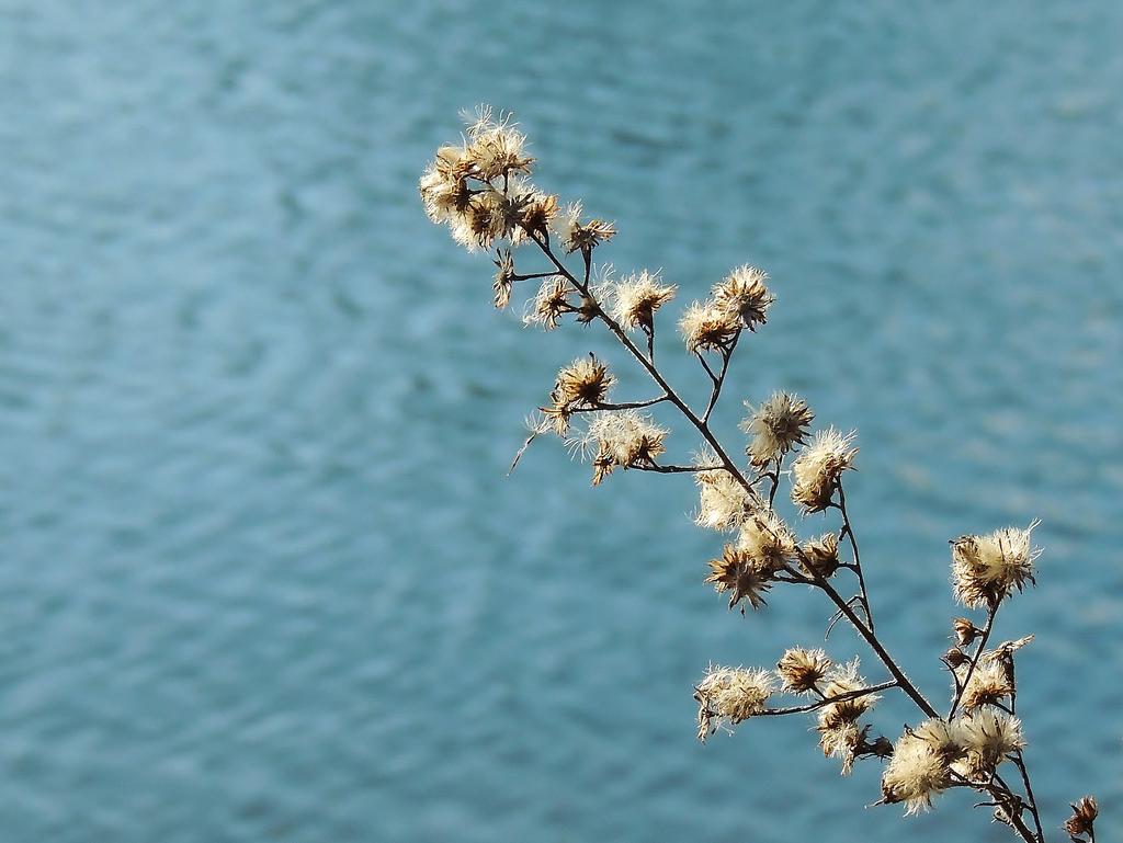 DSCN9507.jpg