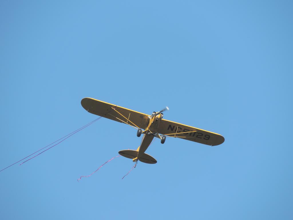 DSCN9508.jpg