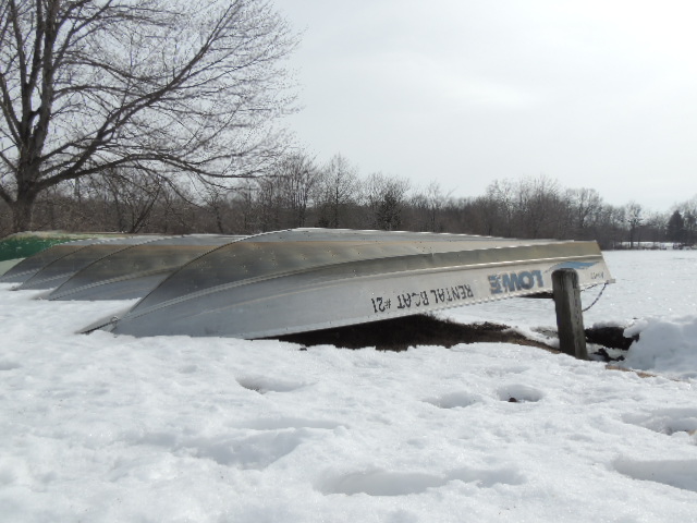 DSCN9508.JPG