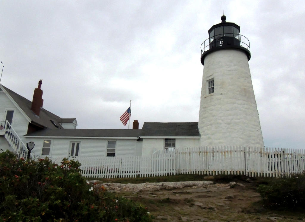 DSCN9510.jpg