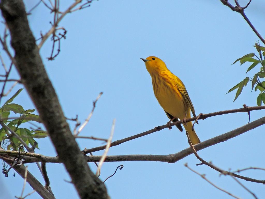 DSCN9512.jpg