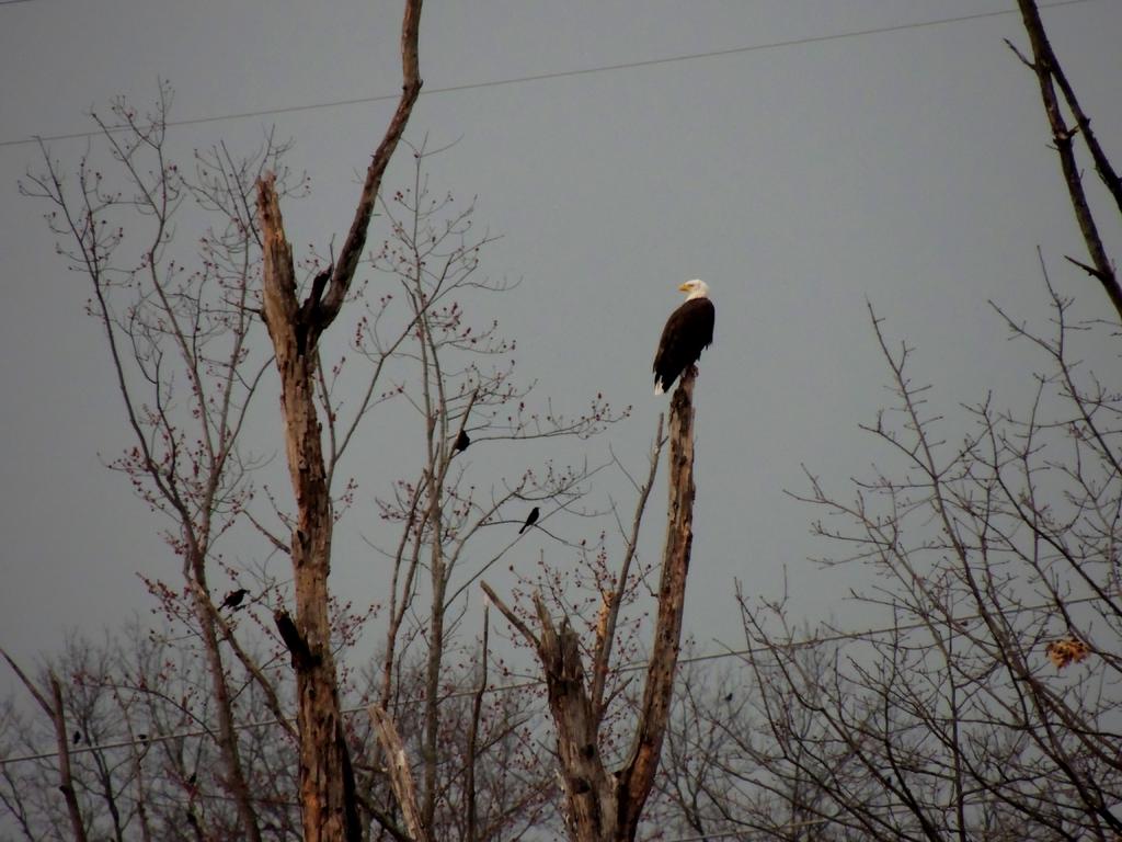 DSCN9520.jpg