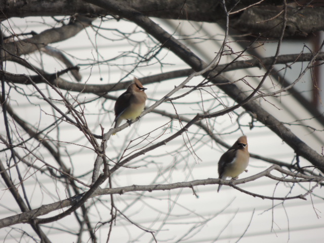 DSCN9524.JPG